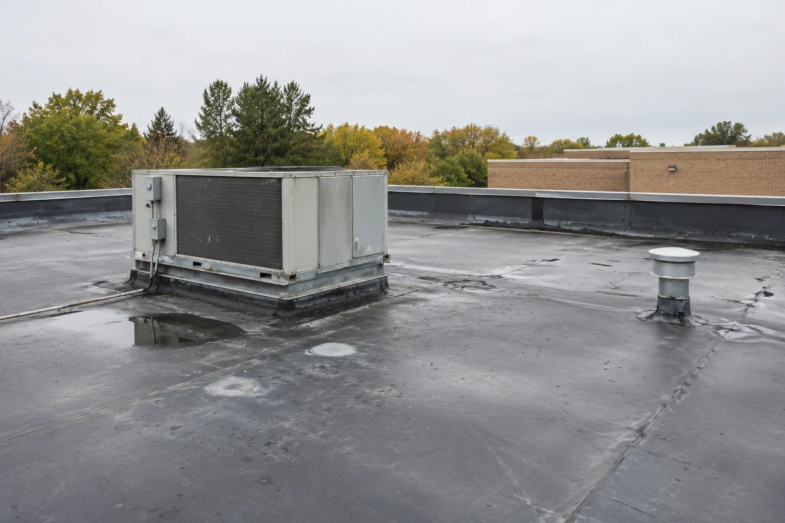 Commercial Roofing for Public Agencies in Independence, MO