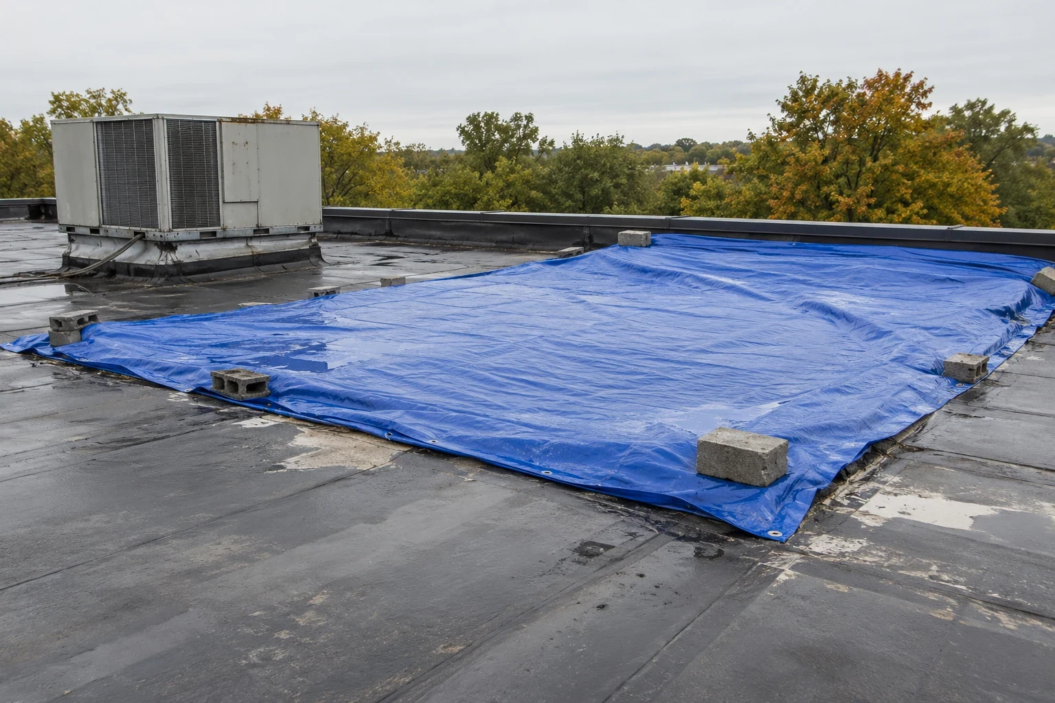 Emergency Commercial Roof Repair in Independence, MO